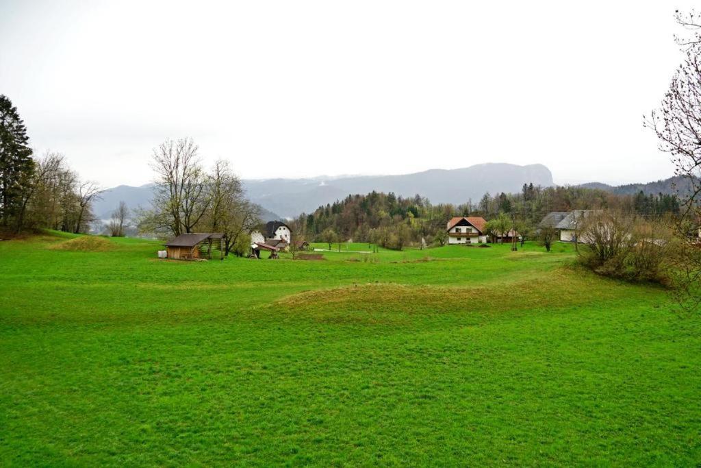 Studio Erzen Zgornje Gorje Buitenkant foto